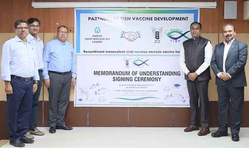 IIL In Collaboration With CIBA-ICAR To Produce Vaccines For Finfish