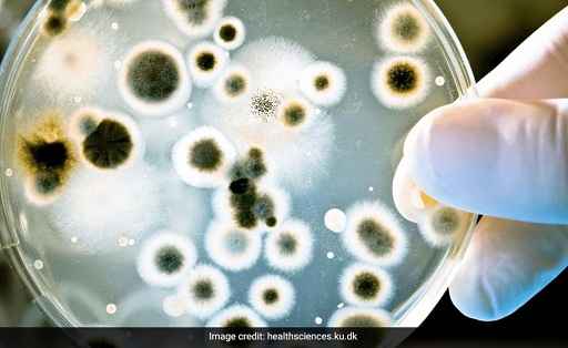 ICMR To Build Algorithms For Antibiotic Use In Common Illnesses To Curb Misuse