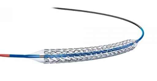 Govt Mulls Over New Category For Advanced Coronary Stents, Ceiling Price Increase To Attract Manufacturers