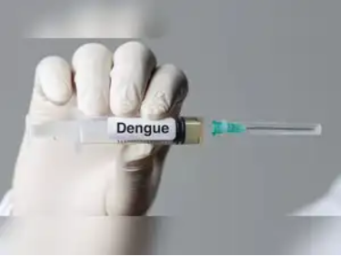 Japan’s Takeda to launch dengue vaccine in India with Biological E next year