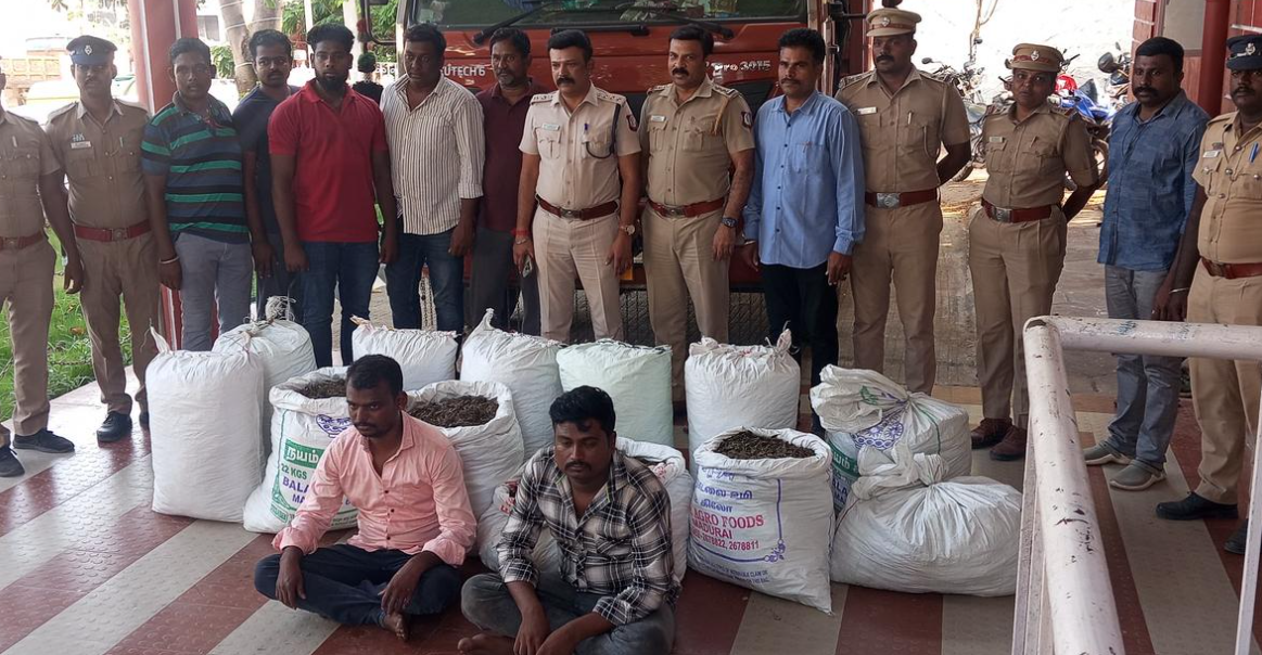 Chennai police arrest two from Maharashtra for smuggling drugs, seize 300 kg of ganja