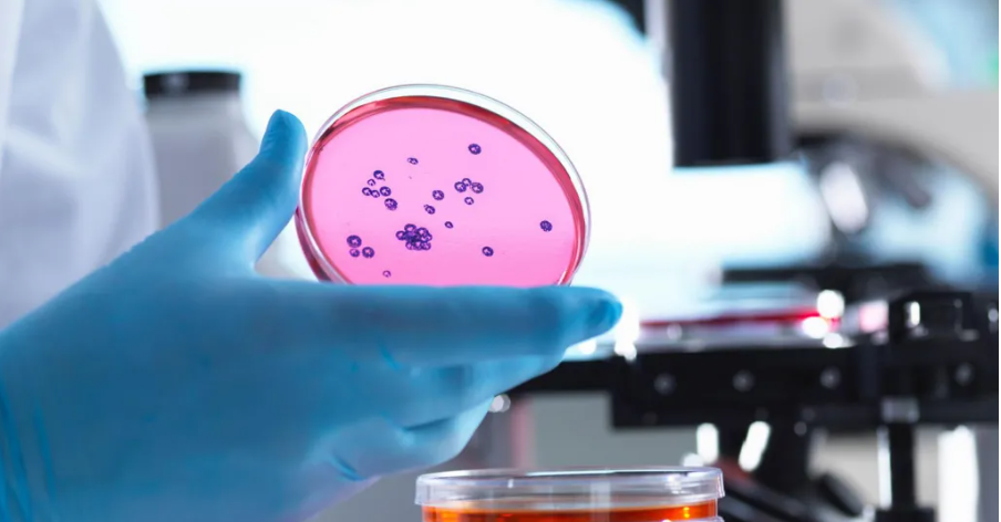 Doctors trialling ‘poo pills’ to flush out dangerous superbugs