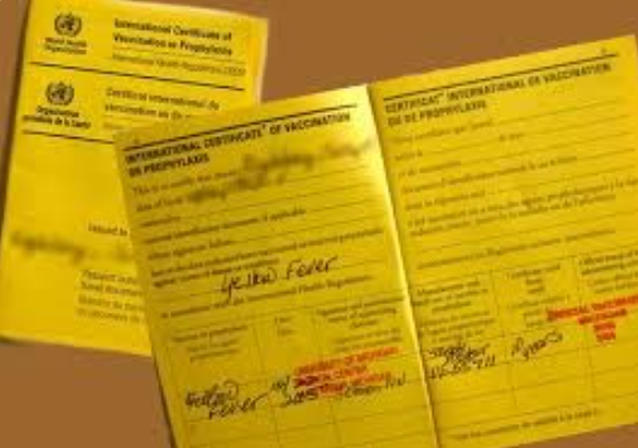 AIIMS Guwahati raises concern over unauthorised yellow fever vax