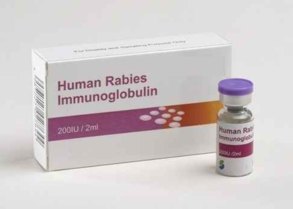 Administering rabies vaccine at the wrong site can be fatal: Shoulders or thighs only, warn experts