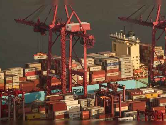 Brazil, Nigeria emerge as key export destinations; market expands to $20.48 billion