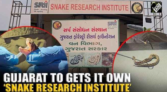 Gujarat Leads the Way in Developing Region-Specific Antivenom to Slash Snakebite Deaths