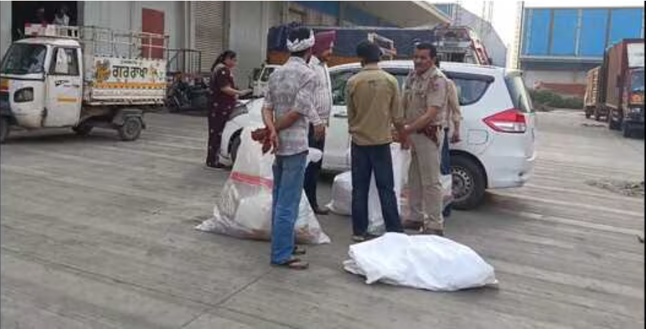 Ludhiana police seize 56 kg ganja; courier warehouse under scanner
