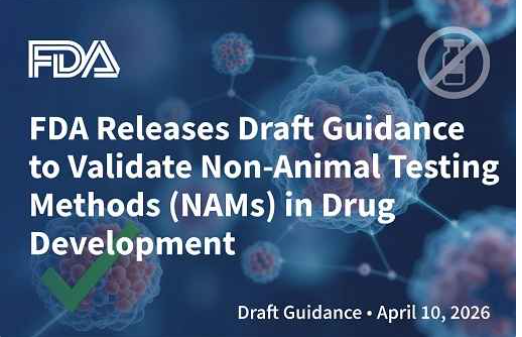 FDA Releases Draft Guidance To Validate Non-Animal Testing Methods (NAMs) In Drug Development