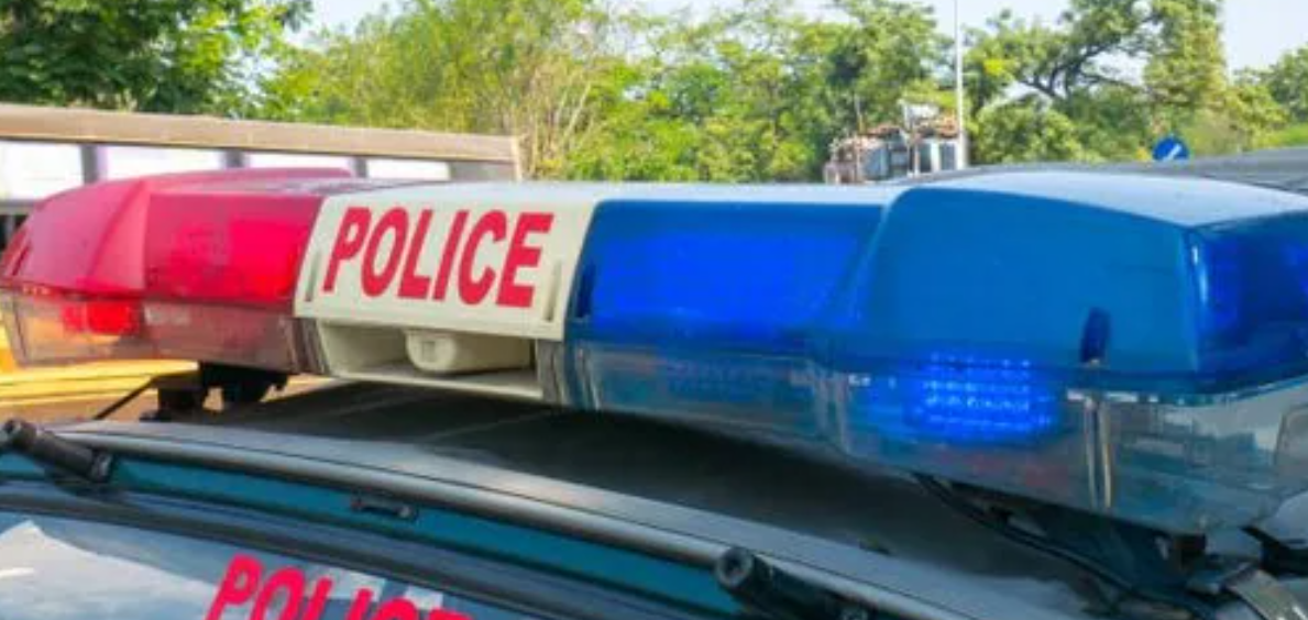 4 arrested in blood plasma adulteration racket