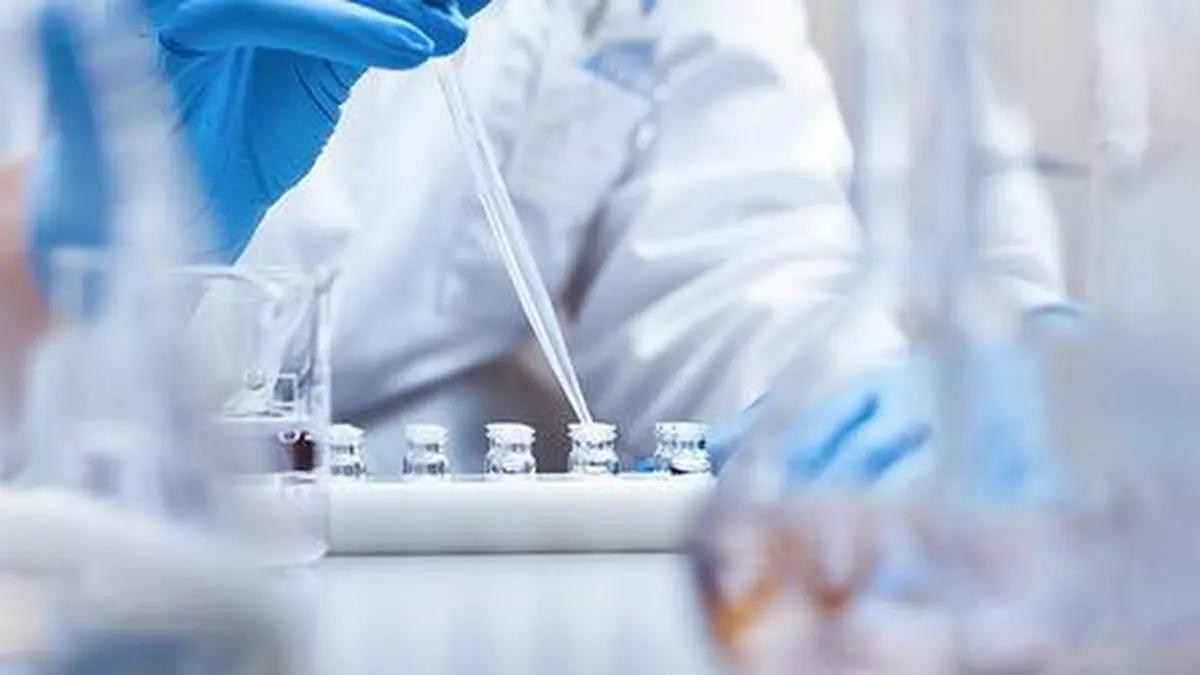 Pharma exporters raise red flag over JNCH customs delays at Nhava Sheva Port