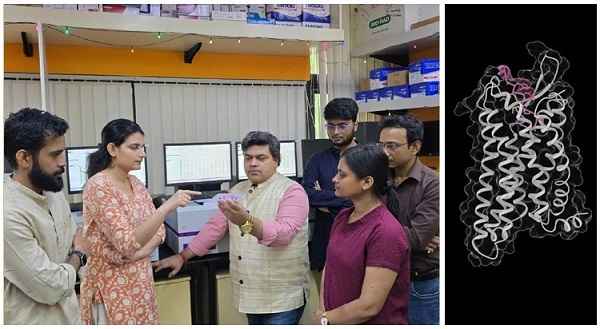 IIT Kanpur scientists’ research reveals how a promising vaccine booster switches on immune cells