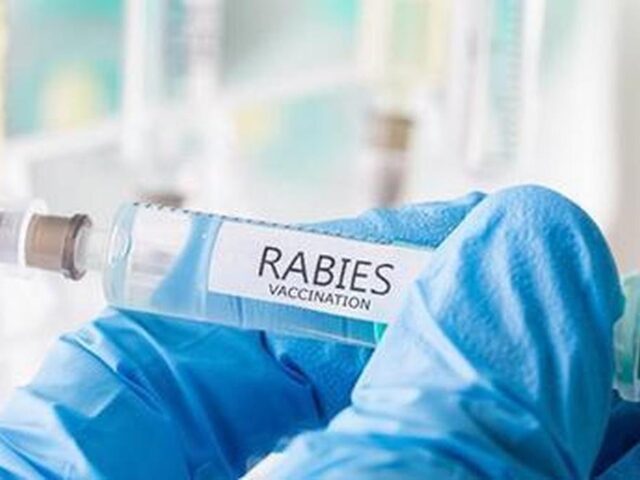 Counterfeit rabies vaccine worth ₹2 lakh seized in Delhi
