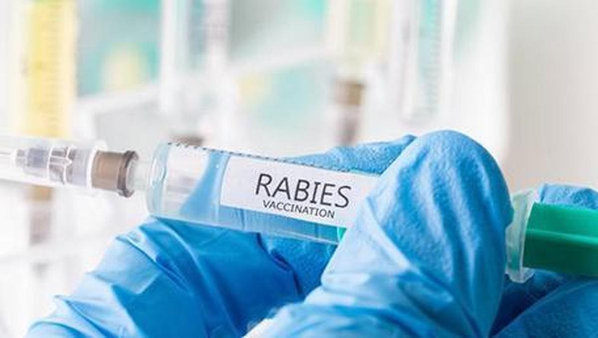 Counterfeit rabies vaccine worth ₹2 lakh seized in Delhi