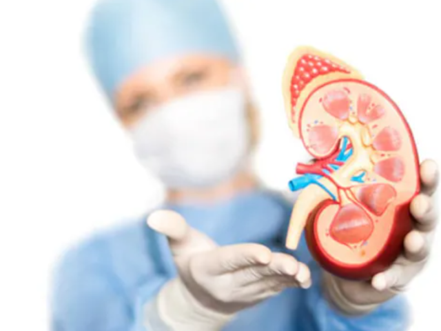 Two More Pregnant Women In Rajasthan’s Kota Die From Kidney Complications