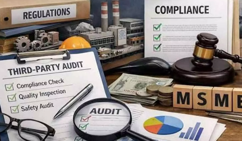 Govt allows third-party agencies to conduct departmental inspections